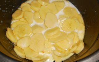Картофель в молоке в мультиварке