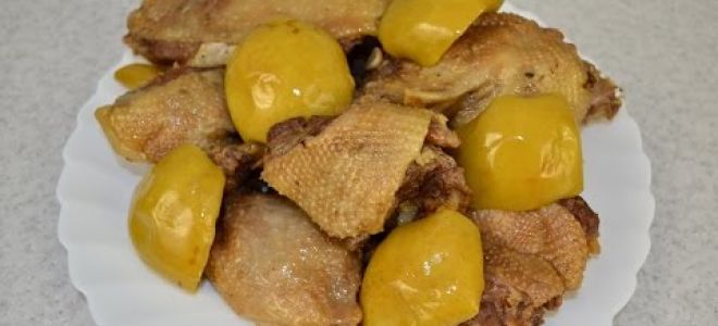 Утка в мультиварке с яблоками