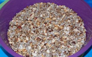 Домашние козинаки рецепт из семечек и арахиса