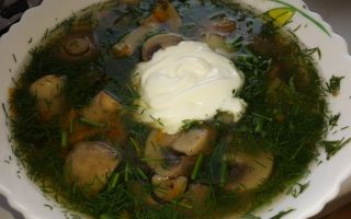 Суп из сушеных грибов в мультиварке