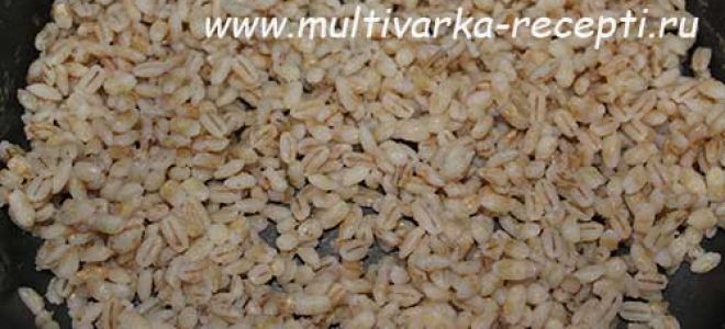 Кутья в мультиварке (из пшеницы и перловки)