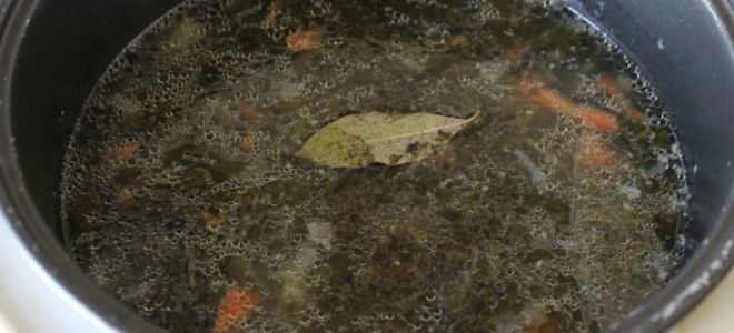 Суп с щавелем в мультиварке