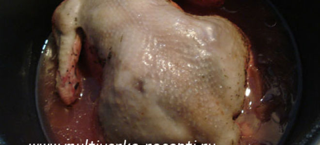 Курица, отварная в красном вине с яблоками и морковью в мультиварке