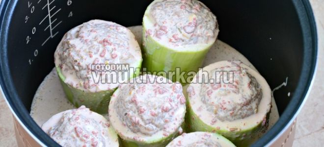 Кабачки, фаршированные мясом и рисом в мультиварке