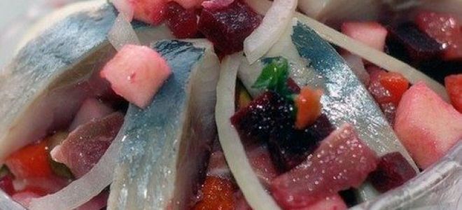 Винегрет с соленой рыбой (2 рецепта)